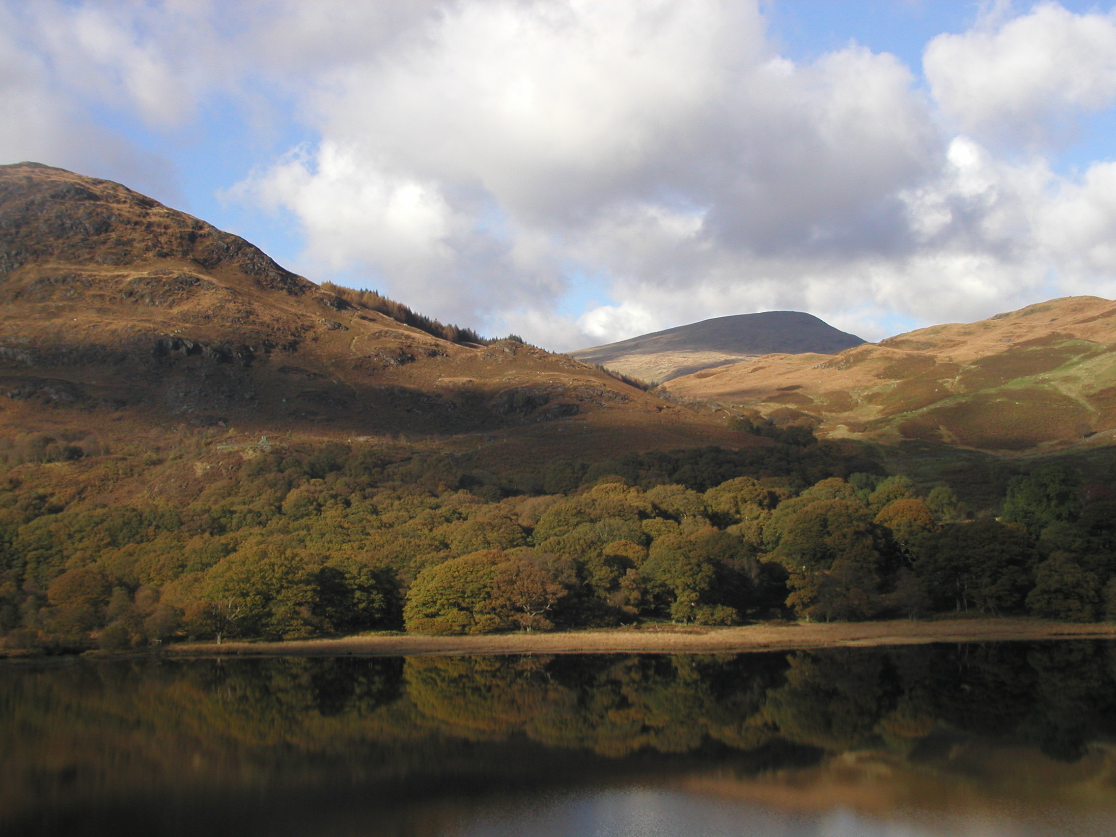 Opening for Dumfries and Galloway Cultural Partnership Chair